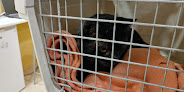 Centre Veterinari Poble Nou, veterinaris a Vilafranca del Penedès 1 Centre Veterinari Poble Nou