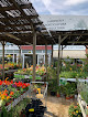 Germinova, plantes a Vilafranca del Penedès 1 Germinova