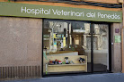 Hospital Veterinari Del Penedès, veterinaris a Vilafranca del Penedès 1 Hospital Veterinari Del Penedès