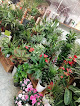 Kelly-flors, floristeries a Vilafranca del Penedès 1 Kelly-flors